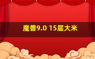 魔兽9.0 15层大米